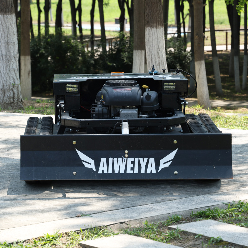 Customized High Power Remote L - Snow Blower Single recension och pris