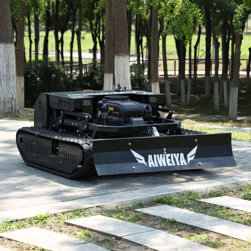 Customized High Power Remote L - Snow Blower Single recension och pris