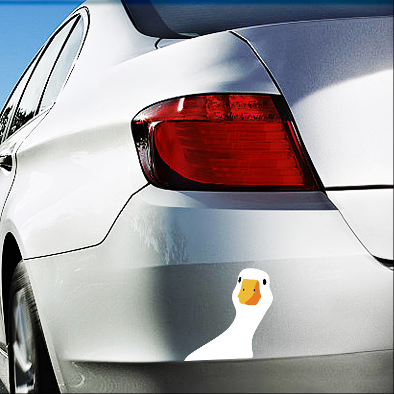 Car Safety for Doubtful Duck C - Outdoor Power Point recension och pris